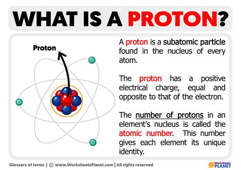 The Proton